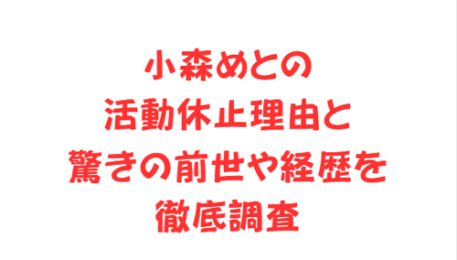 小森めとの活動休止理由と驚きの前世や経歴を徹底調査