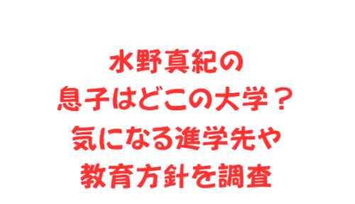 水野真紀の息子はどこの大学?気になる進学先や教育方針を調査