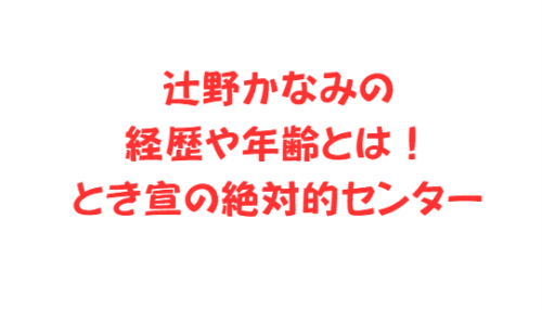 辻野かなみの経歴や年齢とは！とき宣の絶対的センター
