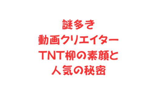 謎多き動画クリエイターTNT柳の素顔と人気の秘密