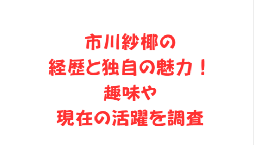 市川紗椰の経歴と独自の魅力!趣味や現在の活躍を調査