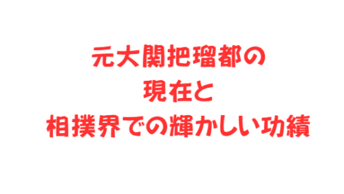 元大関把瑠都の現在と相撲界での輝かしい功績