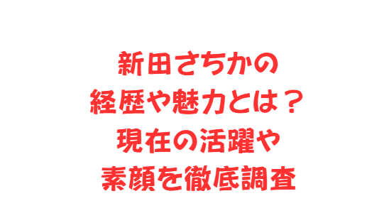 新田さちかの経歴や魅力とは？現在の活躍や素顔を徹底調査