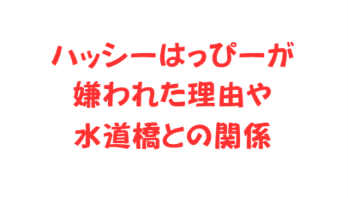 ハッシーはっぴーが嫌われた理由や水道橋との関係
