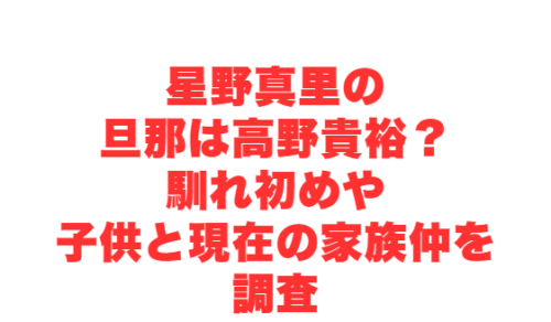星野真里の旦那は高野貴裕?馴れ初めや子供と現在の家族仲を調査