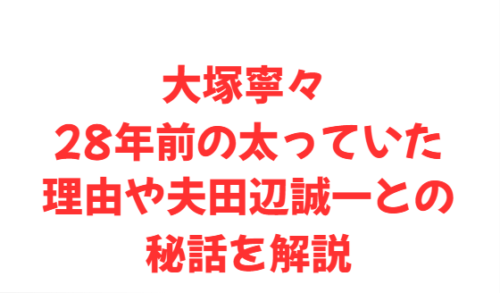 大塚寧々 28年前の太っていた理由や夫田辺誠一との秘話を解説