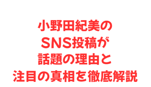 小野田紀美のSNS投稿が話題の理由と注目の真相を徹底解説