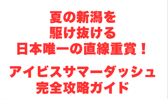 夏の新潟を駆け抜ける日本唯一の直線重賞！アイビスサマーダッシュ完全攻略ガイド