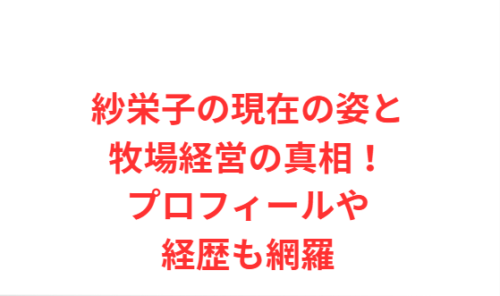 紗栄子の現在の姿と牧場経営の真相！プロフィールや経歴も網羅