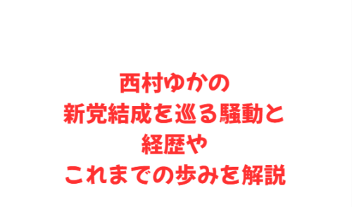 西村ゆかの新党結成を巡る騒動と経歴やこれまでの歩みを解説