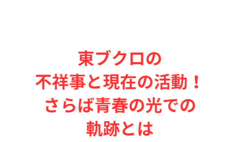 東ブクロの不祥事と現在の活動!さらば青春の光での軌跡とは