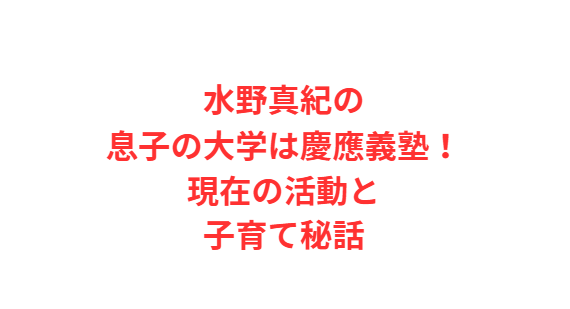 水野真紀の息子の大学は慶應義塾！現在の活動と子育て秘話