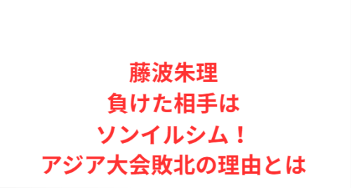 藤波朱理負けた相手はソンイルシム!アジア大会敗北の理由とは