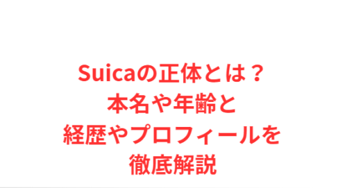 Suicaの正体とは?本名や年齢と経歴やプロフィールを徹底解説