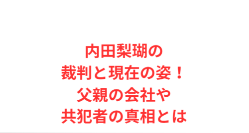 内田梨瑚の裁判と現在の姿!父親の会社や共犯者の真相とは