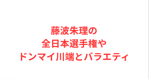 藤波朱理の全日本選手権やドンマイ川端とバラエティ