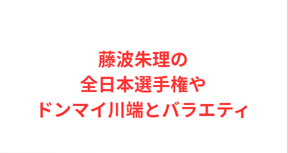 藤波朱理の全日本選手権やドンマイ川端とバラエティ